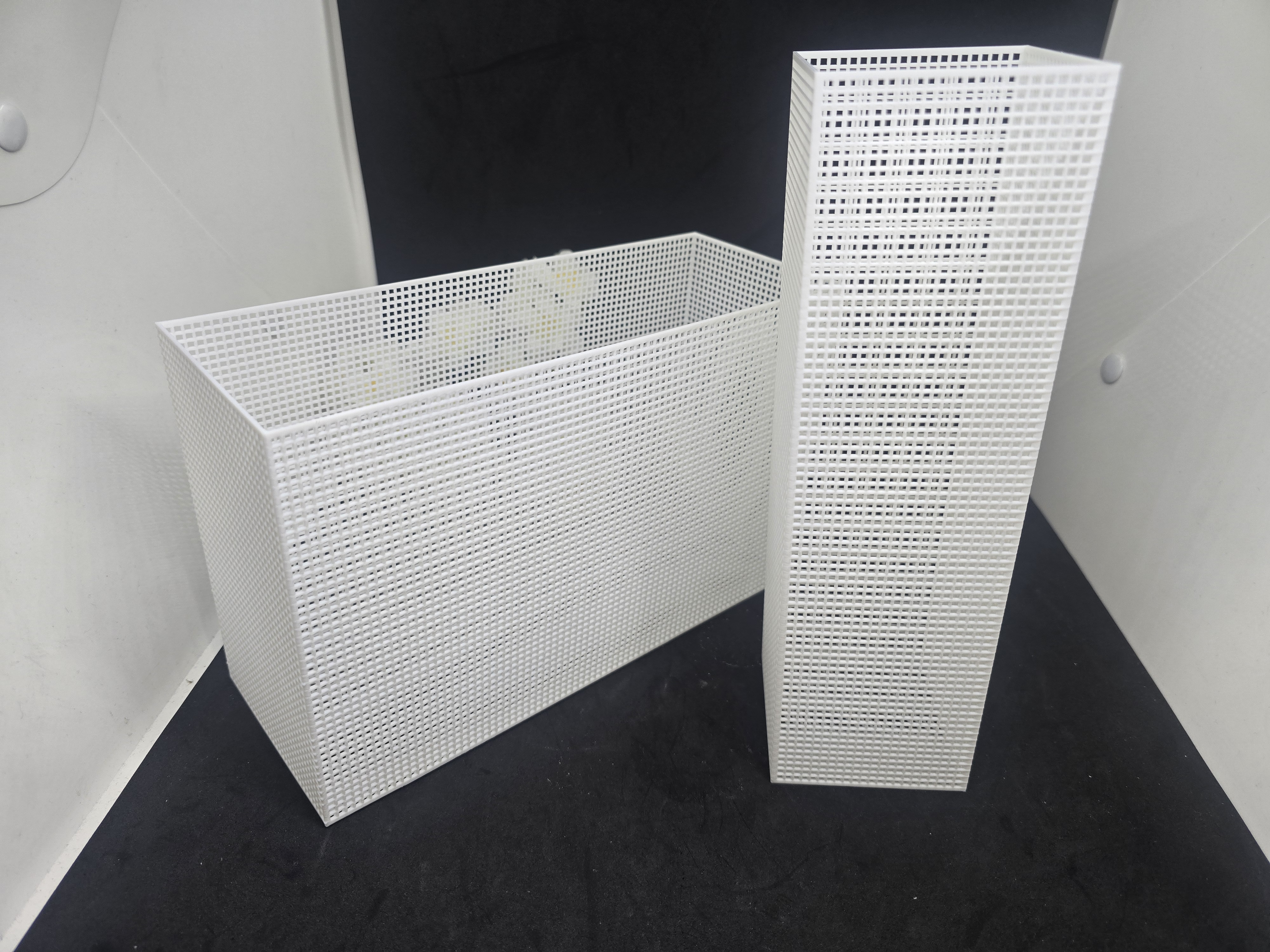 Mesh model print